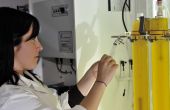 Prélèvement de micro-algues dans un photobioréacteur au Centre Ifremer de Nantes